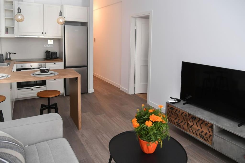 Modern Apartment In Ipitou, Plaka Athens Ngoại thất bức ảnh